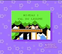 Kirby s Adventure sur Nintendo Nes